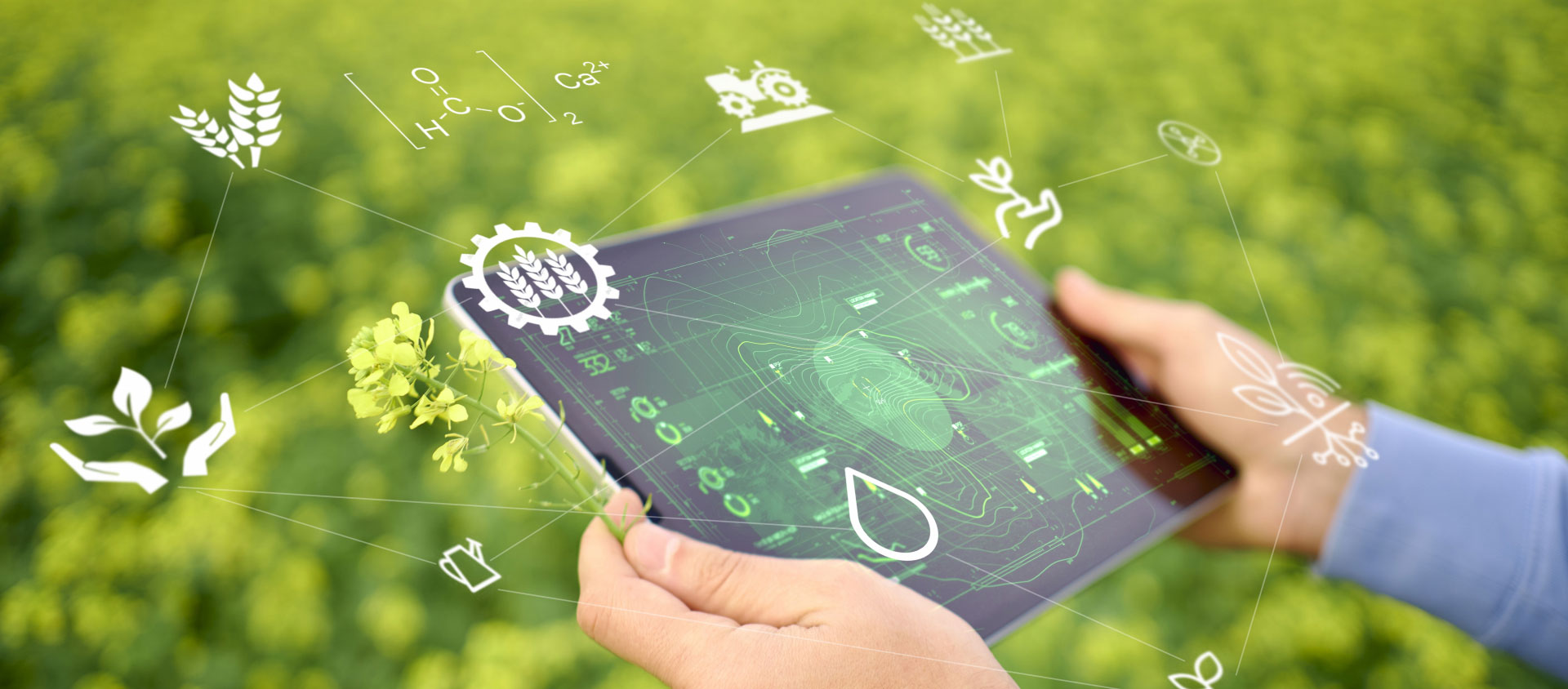 トップイメージ