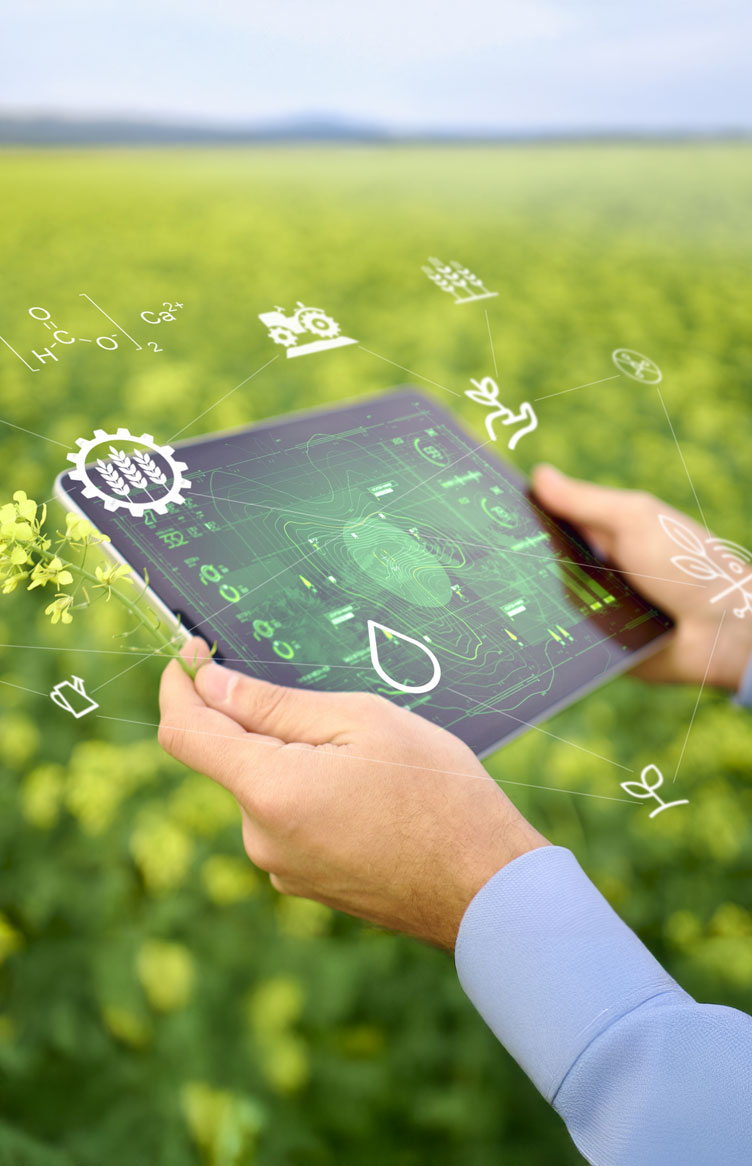 トップイメージ